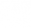 Cactus Security