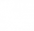 Cactus Security